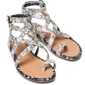 CAbi Athena Gladiator Sandals